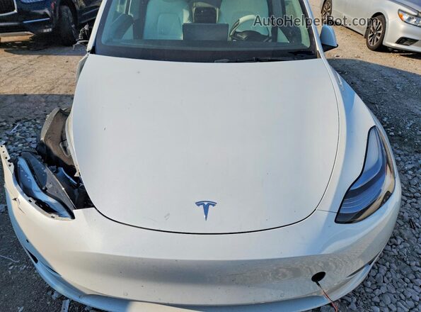 5YJYGDEE5MF130566 2021 TESLA MODEL White Widok wnętrza z tyłu