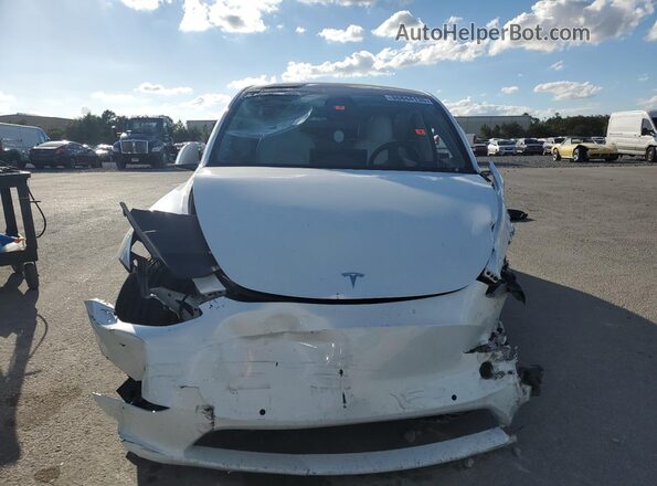 5YJYGDEE6MF118491 2021 TESLA MODEL White Widok z przodu