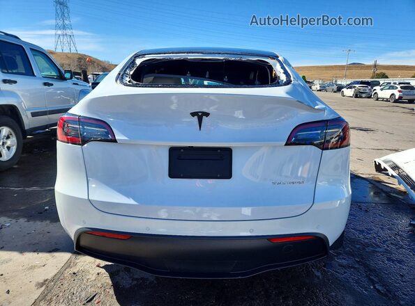 5YJYGDEE6MF198049 2021 TESLA MODEL White Widok z tyłu