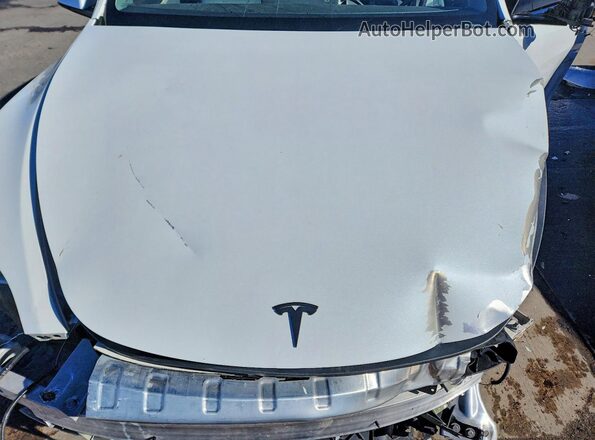 5YJYGDEE6MF198049 2021 TESLA MODEL White Widok wnętrza z tyłu