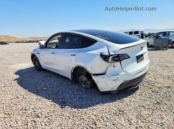 5YJYGDEE7MF074176 2021 TESLA MODEL White Trasero izquierdo