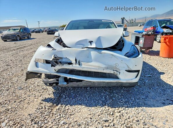 5YJYGDEE7MF074176 2021 TESLA MODEL White Vista frontal
