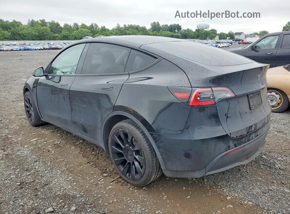 5YJYGDEE8MF060965 2021 TESLA MODEL Black უკანა მარცხენა
