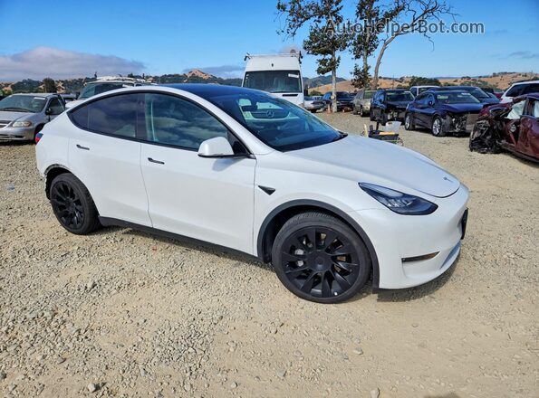 5YJYGDEE8MF218267 2021 TESLA MODEL Белый Передняя правая четверть