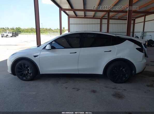 5YJYGDEE8MF256565 2021 TESLA MODEL Y White Widok wnętrza z tyłu