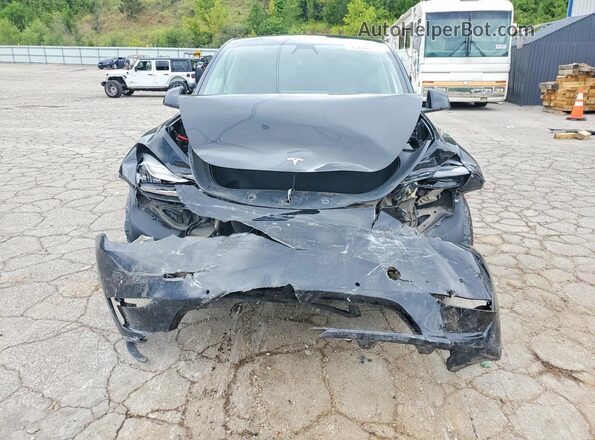 5YJYGDEE9MF076639 2021 TESLA MODEL Черный Вид спереди