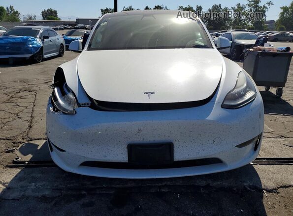 5YJYGDEE9MF102236 2021 TESLA MODEL Белый Вид спереди