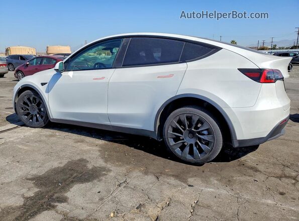 5YJYGDEE9MF102236 2021 TESLA MODEL Белый Задняя левая четверть
