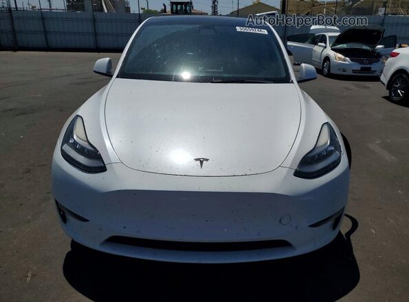 5YJYGDEE9MF157124 2021 TESLA MODEL White წინა ხედი