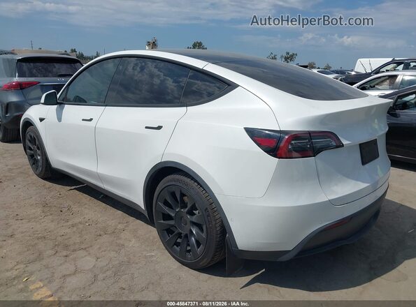 5YJYGDEE9MF212364 2021 TESLA MODEL Y White Հետևի ձախ