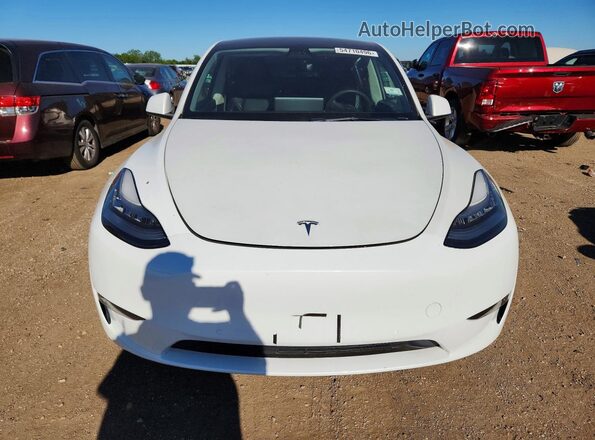 5YJYGDEEXMF092736 2021 TESLA MODEL White Դիմացի տեսք