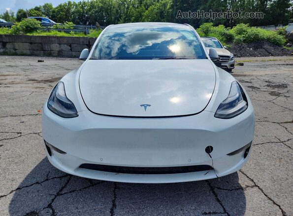 5YJYGDEF7MF252712 2021 TESLA MODEL White Front view