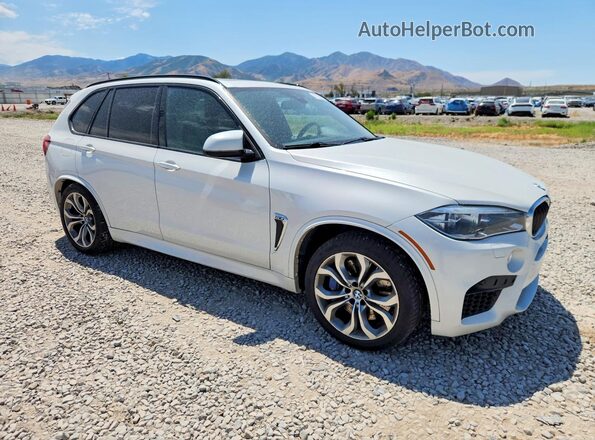 5YMKT6C55H0U39031 2017 BMW X5 White Front right