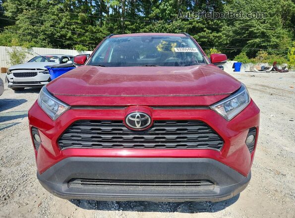 2T3W1RFV0KW032251 2019 TOYOTA RAV4 Red Вид ззаду
