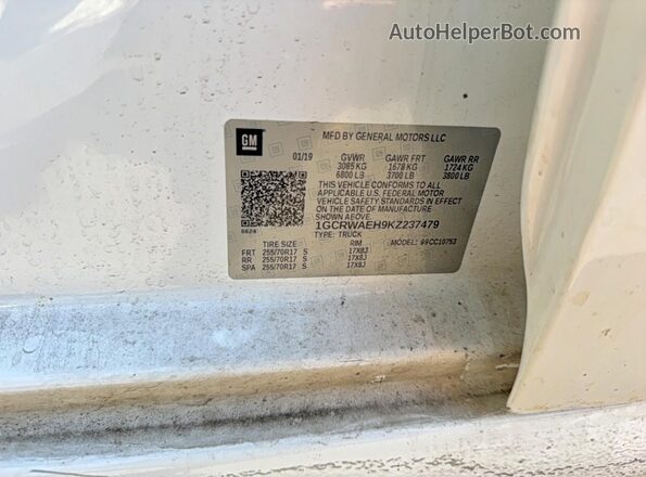 1GCRWAEH9KZ237479 2019 CHEVROLET SILVERADO White Вид задньої частини салону