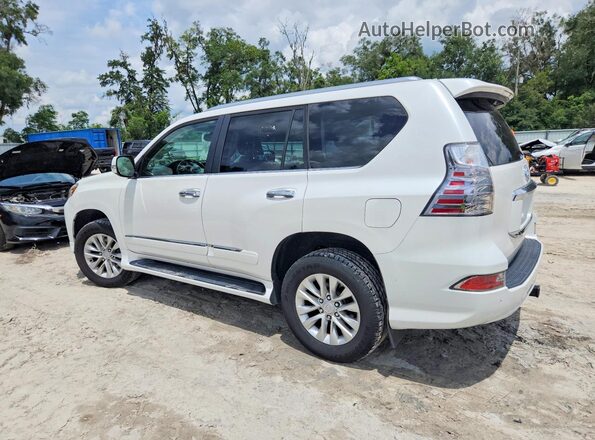 JTJBM7FX1G5124461 2016 LEXUS GX Белый Задняя правая четверть