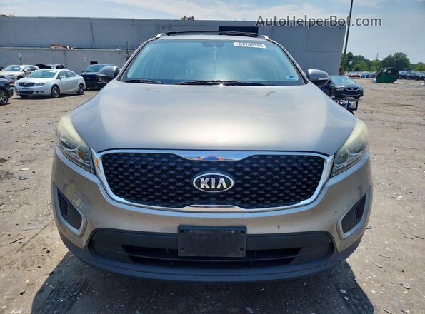 5XYPG4A52HG269764 2017 KIA SORENTO Gray Rear view