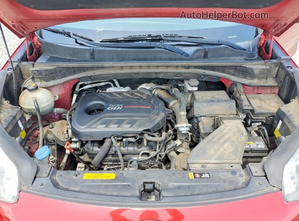 KNDPR3A64K7509253 2019 KIA SPORTAGE Red VIN կոդի պիտակի տեսք
