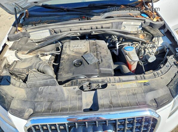WA1C2AFP1HA035292 2017 AUDI Q5 White VIN կոդի պիտակի տեսք
