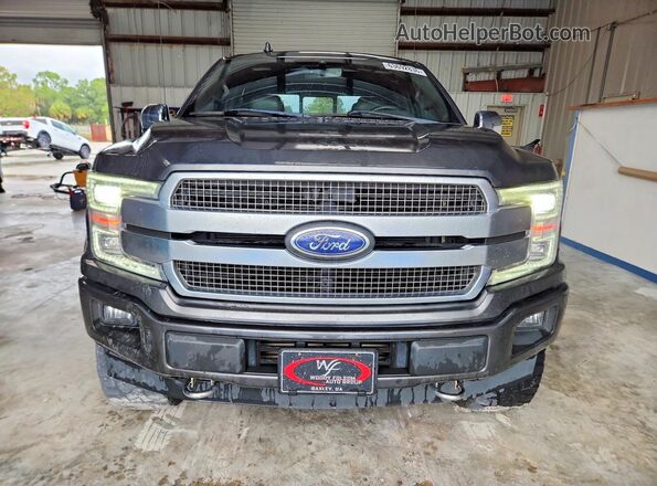 1FTEW1E46KFB21041 2019 FORD F150 Gray Հետևի տեսք
