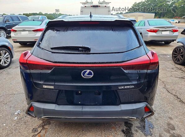 JTHU9JBH9K2009897 2019 LEXUS UX Black Vista interior delantera