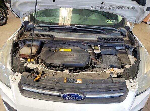 1FMCU9GX3GUA89800 2016 FORD ESCAPE White VIN კოდის სტიკერის ხედი