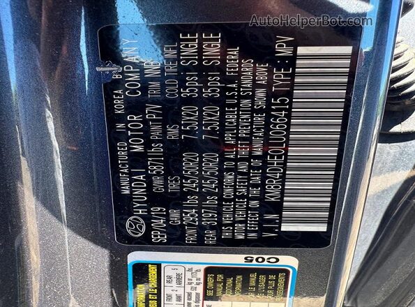 KM8R4DHE0LU066415 2020 HYUNDAI PALISADE Blue Vista interior trasera