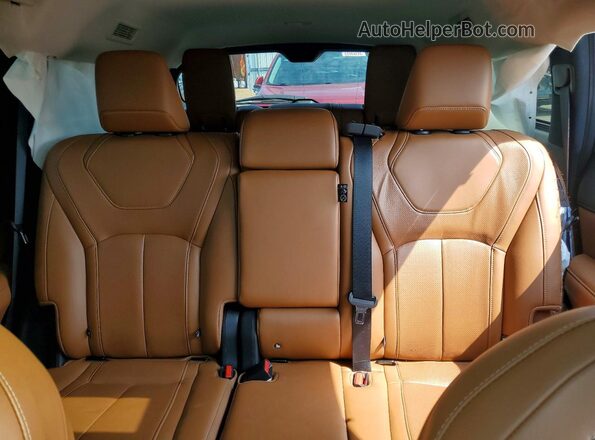 5N1DL1GS3PC353360 2023 INFINITI QX60 Черный Вид задней части салона