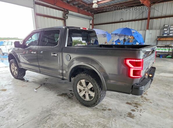 1FTEW1E46KFB21041 2019 FORD F150 Gray Հետևի աջ