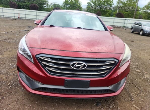 5NPE34AF8GH426829 2016 HYUNDAI SONATA Красный Вид сзади