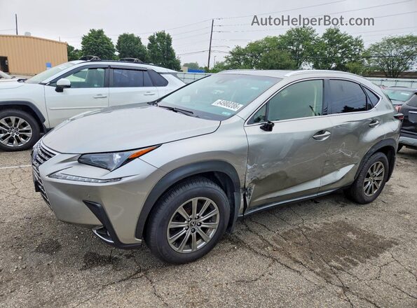 JTJBARBZ7K2199946 2019 LEXUS NX Silver Հետևի ձախ