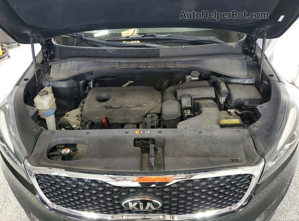5XYPGDA3XHG251981 2017 KIA SORENTO Black Vista de la etiqueta del VIN