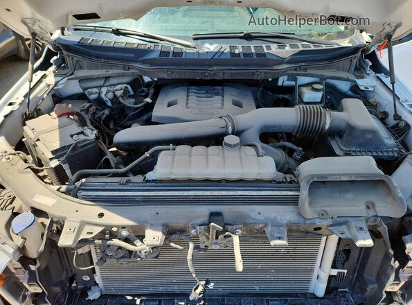 1FTFX1E82PKD03080 2023 FORD F150 White Շարժիչի բաժամունքի տեսք