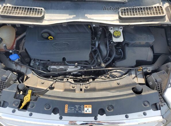 1FMCU0HDXJUC03797 2018 FORD ESCAPE Серый Вид наклейки с VIN-кодом