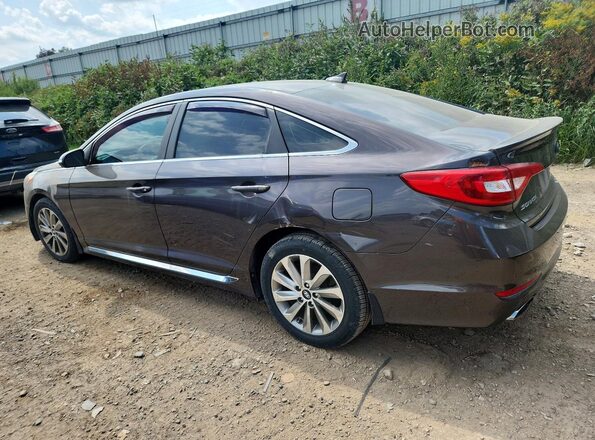5NPE34AF0HH441259 2017 HYUNDAI SONATA Brown Trasero derecho