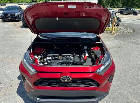 2T3P1RFV4PW374488 2023 TOYOTA RAV4 Red უკანა სავარძლების ხედი