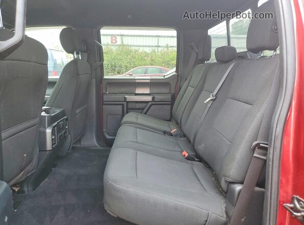 1FTEW1EP2KFB25307 2019 FORD F150 Red Սալոնի հետևի տեսք