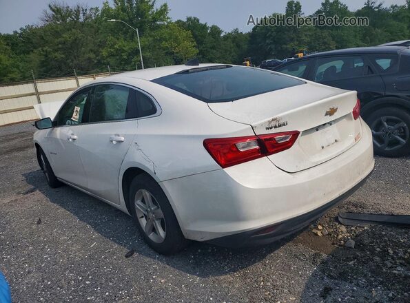 1G1ZC5ST4RF189628 2024 CHEVROLET MALIBU White უკანა მარჯვენა