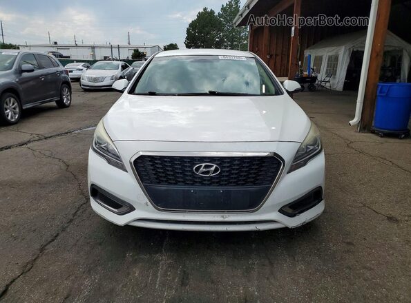 KMHE24L32HA075748 2017 HYUNDAI SONATA White Հետևի տեսք