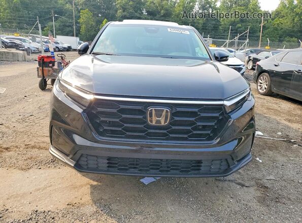 7FARS4H43RE016552 2024 HONDA CR-V Black Widok z przodu
