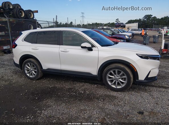7FARS4H46RE009708 2024 HONDA CR-V White უკანა სალონის ხედი