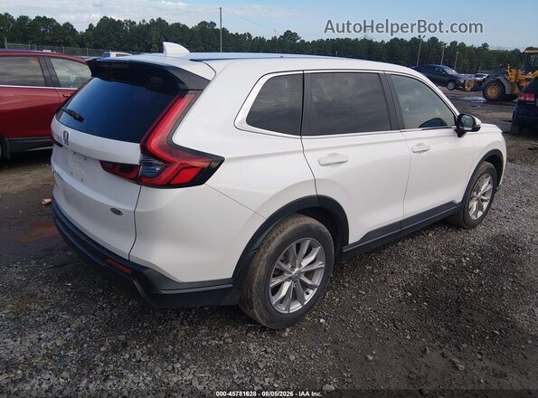 7FARS4H46RE009708 2024 HONDA CR-V White უკანა მარჯვენა