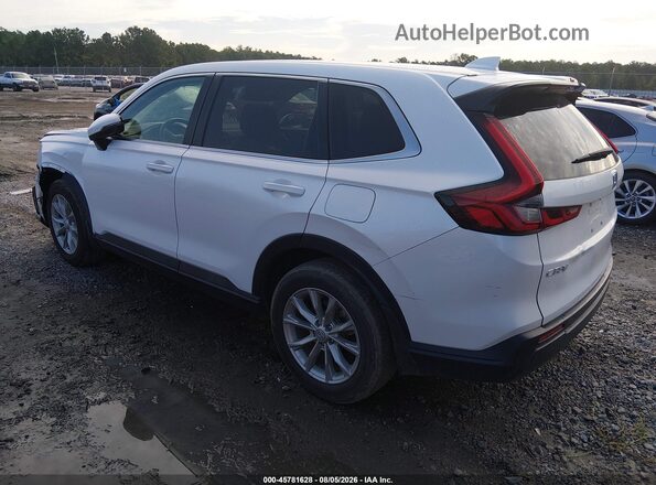 7FARS4H46RE009708 2024 HONDA CR-V White უკანა მარცხენა
