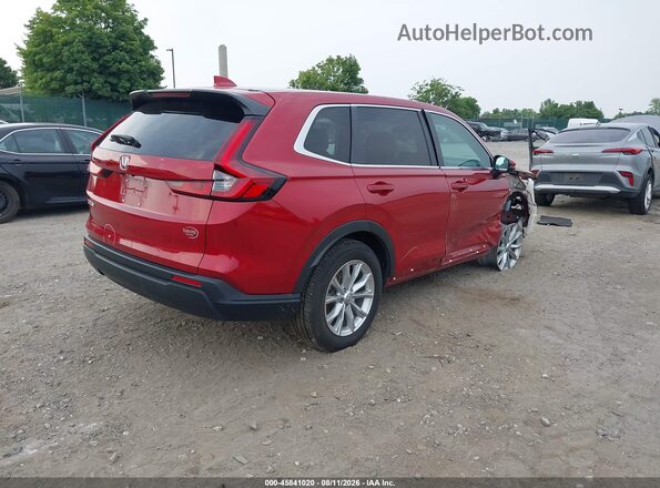 7FARS4H47RE012701 2024 HONDA CR-V Red უკანა მარჯვენა