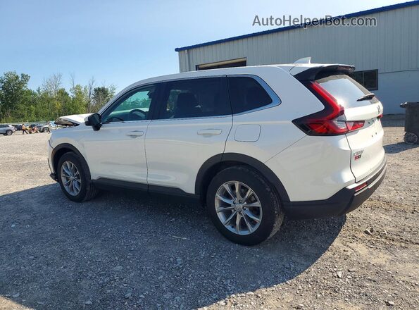 7FARS4H48SE010798 2025 HONDA CR-V Белый Задняя левая четверть