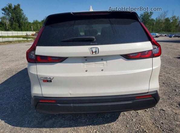 7FARS4H48SE010798 2025 HONDA CR-V Белый Вид сзади