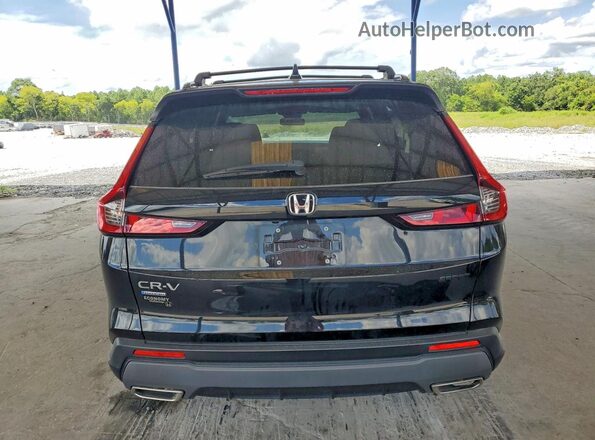 7FARS5H55PE013972 2023 HONDA CR-V Black Հետևի տեսք