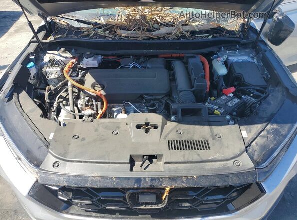 7FARS5H81SE025930 2025 HONDA CR-V Серебряный Вид задней части салона