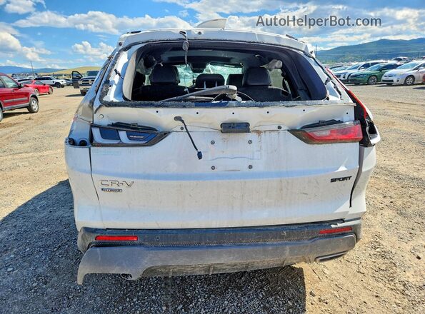 7FARS5H8XSE020578 2025 HONDA CR-V White უკანა ხედი