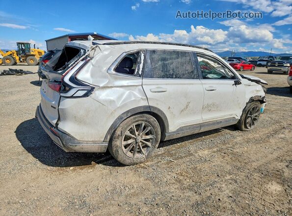 7FARS5H8XSE020578 2025 HONDA CR-V White უკანა მარჯვენა